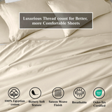 100% Egyptian Cotton 650 Thread Count Solid Pillowcase Set - Egyptian Cotton Pillowcases by Superior Brand