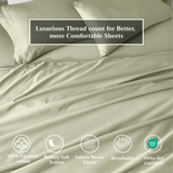 100% Egyptian Cotton 650 Thread Count Solid Pillowcase Set - Egyptian Cotton Pillowcases by Superior Brand