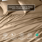 100% Egyptian Cotton 650 Thread Count Solid Pillowcase Set - Egyptian Cotton Pillowcases by Superior Brand