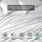 100% Egyptian Cotton 650 Thread Count Solid Pillowcase Set - Egyptian Cotton Pillowcases by Superior Brand