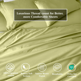 100% Egyptian Cotton 650 Thread Count Solid Pillowcase Set - Egyptian Cotton Pillowcases by Superior Brand