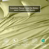 100% Egyptian Cotton 650 Thread Count Solid Pillowcase Set - Egyptian Cotton Pillowcases by Superior Brand