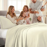 Lightweight Cotton Bedspread Sets 3-Piece Fleur De Lis Jacquard Matelassé - Bedspread by Superior Brand