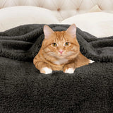 Fleece Plush Medium Weight Fluffy Soft Solid Decorative Blanket - Blanket by Superior Brand