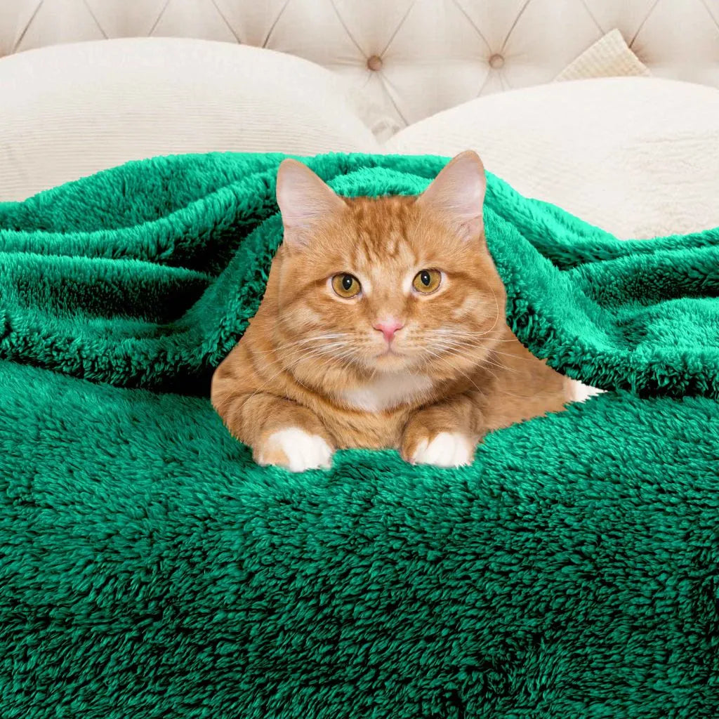 Fleece Plush Medium Weight Fluffy Soft Solid Decorative Blanket - Blanket by Superior Brand