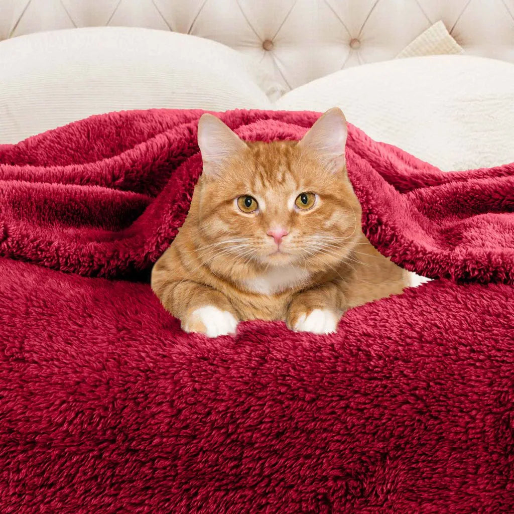 Fleece Plush Medium Weight Fluffy Soft Solid Decorative Blanket - Blanket by Superior Brand