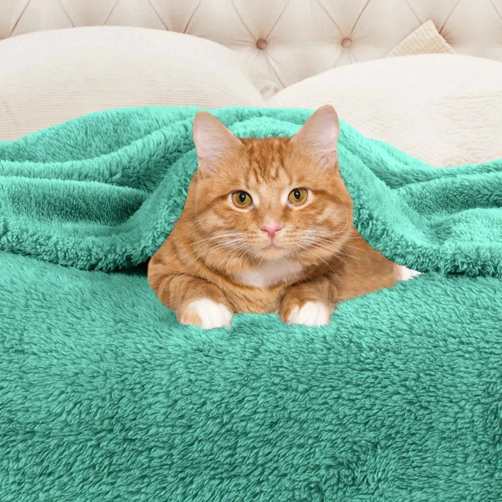Fleece Plush Medium Weight Fluffy Soft Solid Decorative Blanket - Blanket by Superior Brand