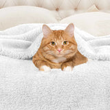 Fleece Plush Medium Weight Fluffy Soft Solid Decorative Blanket - Blanket by Superior Brand