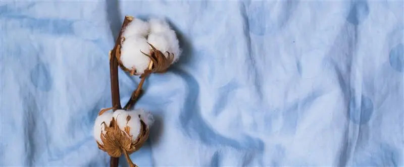 What thread count is best for Egyptian cotton?