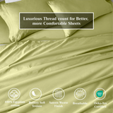 650 Thread Count Egyptian Cotton Sateen Sheet Set