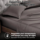 100% Egyptian Cotton 700 Thread Count Solid Pillowcase Set