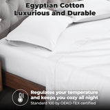 100% Egyptian Cotton 700 Thread Count Solid Pillowcase Set