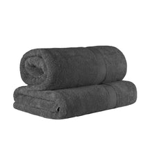 Egyptian Cotton Highly Absorbent 2 Piece Ultra-Plush Solid Bath Sheet Set - Charcoal