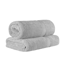 Egyptian Cotton Highly Absorbent 2 Piece Ultra-Plush Solid Bath Sheet Set - Silver
