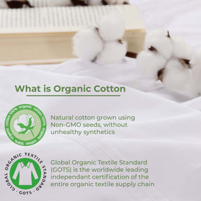 Organic Cotton 300 Thread Count Percale Pillowcases - White