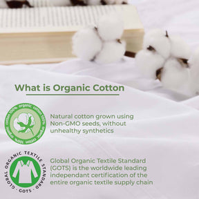 Organic Cotton 300 Thread Count Percale Flat Bed Sheet -White