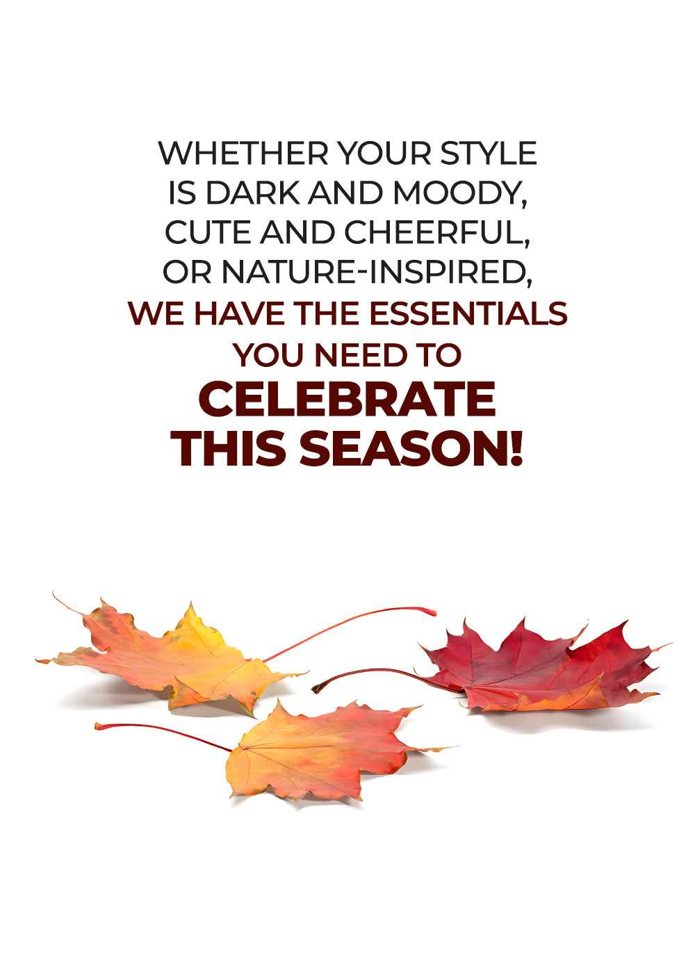 Superior® Home Goods Online Store Best Online Home Stores & Décor