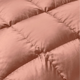 Brushed Microfiber Down Alternative Comforter Medium Weight Solid
