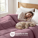 Brushed Microfiber Down Alternative Comforter Medium Weight Solid