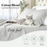 600 Thread Count Cotton Blend Pillowcases, Imperia Embroidered Hem, Set of 2