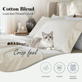 600 Thread Count Cotton Blend Pillowcases, Pandora Embroidered Hem, Set of 2