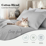 600 Thread Count Cotton Blend Pillowcases, Pandora Embroidered Hem, Set of 2