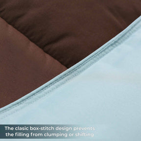 Brushed Microfiber Reversible Down Alternative Comforter - Choco-Sky Blue