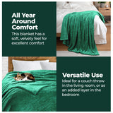 Superior Fleece Plush Medium Weight Fluffy Solid Decorative Blanket