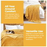 Superior Fleece Plush Medium Weight Fluffy Solid Decorative Blanket