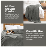 Superior Fleece Plush Medium Weight Fluffy Solid Decorative Blanket