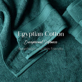 Madeline Egyptian Cotton Hand Towels 4-Piece Plush Set