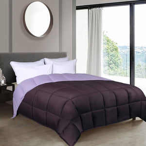 Plum-Lilac