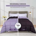 Brushed Microfiber Reversible Down Alternative Comforter - Comforter by Superior