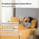 530 Thread Count Egyptian Cotton Sateen Bed Sheet Set