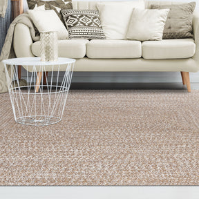 Superior Bohemian Multi-Toned Braided Patterned Indoor Outdoor Area Rug - Latte-White