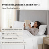 530 Thread Count Egyptian Cotton Sateen Bed Sheet Set