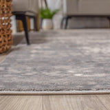 Afton Acid Wash Gradient Indoor Area Rug or Runner Or Door Mat - Rugs by Superior